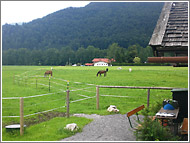 Die Anlage