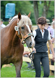 Impressionen der
Landesschau 2015