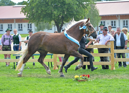 Landessiegerin 2015 Landessiegerin 2015