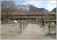 Paddockplätze