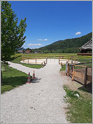 Der Longierzirkel