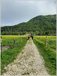 Großzügige Koppeln