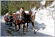 Kutschnfahrt durch Rottach-Egern