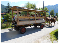 Kutschnfahrt durch Rottach-Egern