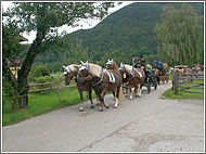 Kutschnfahrt durch Rottach-Egern