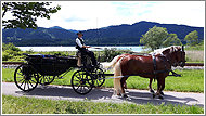 Romantische Hochzeitskutschenfahrt enlang des Tegernsees