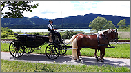 Romantische Hochzeitskutschenfahrt enlang des Tegernsees Romantische Hochzeitskutschenfahrt enlang des Tegernsees