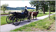 Romantische Hochzeitskutschenfahrt enlang des Tegernsees