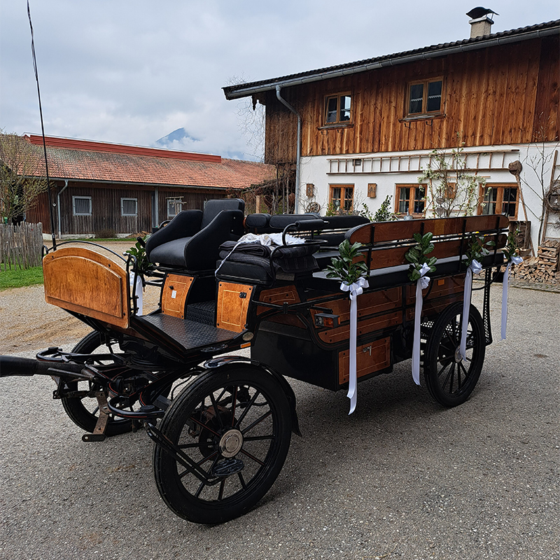 Romantische Hochzeitskutschenfahrt enlang des Tegernsees Romantische Hochzeitskutschenfahrt enlang des Tegernsees
