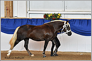 Miss Tegernsee SP