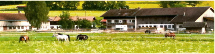 Die Anlage